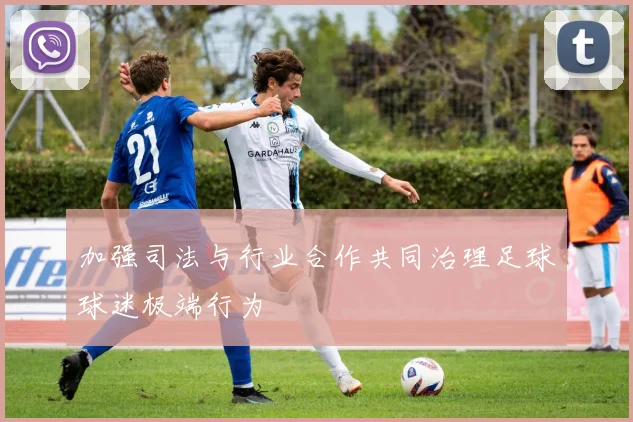 加强司法与行业合作共同治理足球球迷极端行为